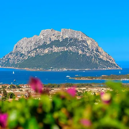 Villa With Breathtaking View I Private Garden I Bbq Loiri Porto San Paolo