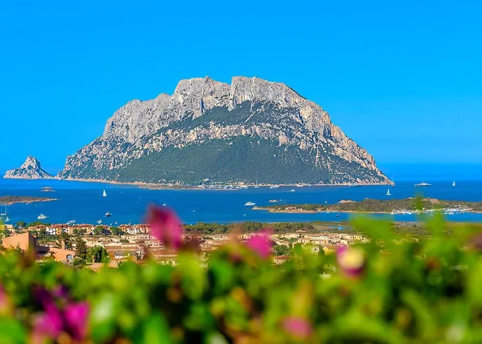 Villa With Breathtaking View I Private Garden I Bbq Porto San Paolo (Sardinia)